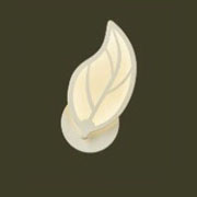 Đèn Tường LED HD VY 6810/1 L120xH230